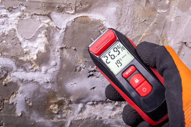 Best Bathroom Mold Remediation in Brentwood, MO